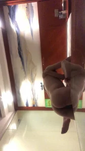 [原创]调教广佛骚逼2