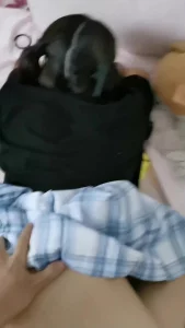 无套中出精神小妹